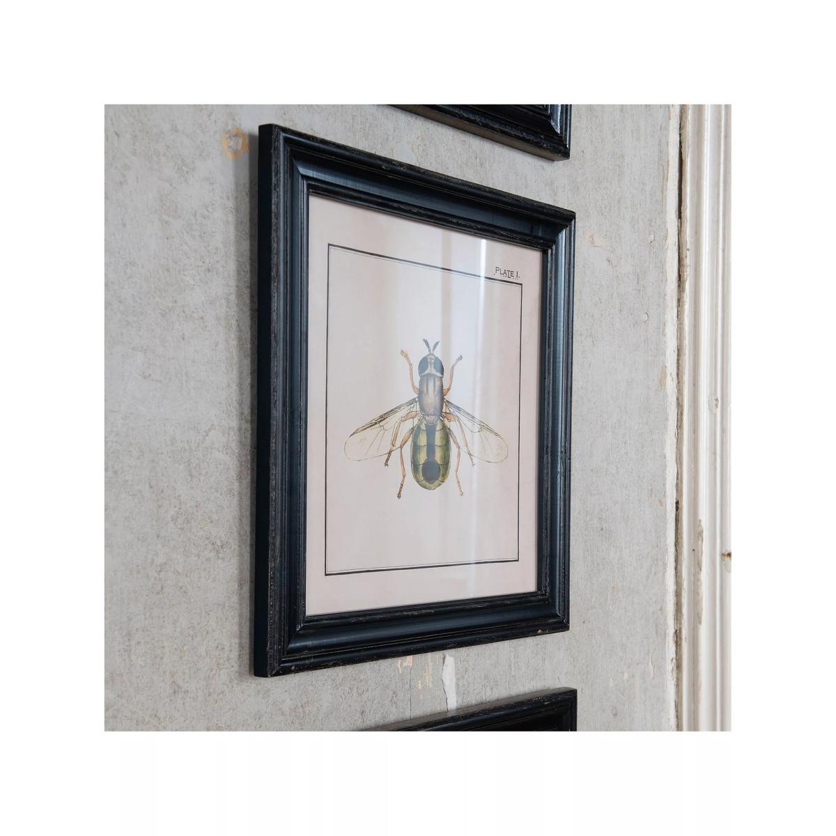 One.World Brookby Bee Wood Framed Wall Art, Set of 3, 38 x 38cm, Black – image 2