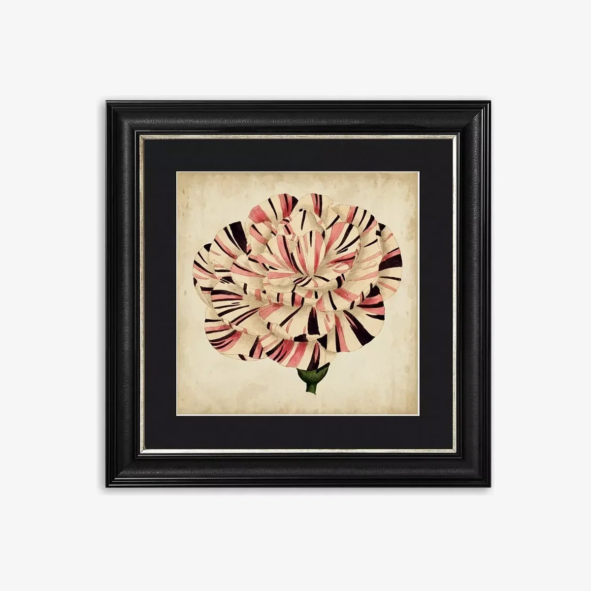 Pop Floral VI Framed Print & Mount, 56 x 56cm, Black/Pink