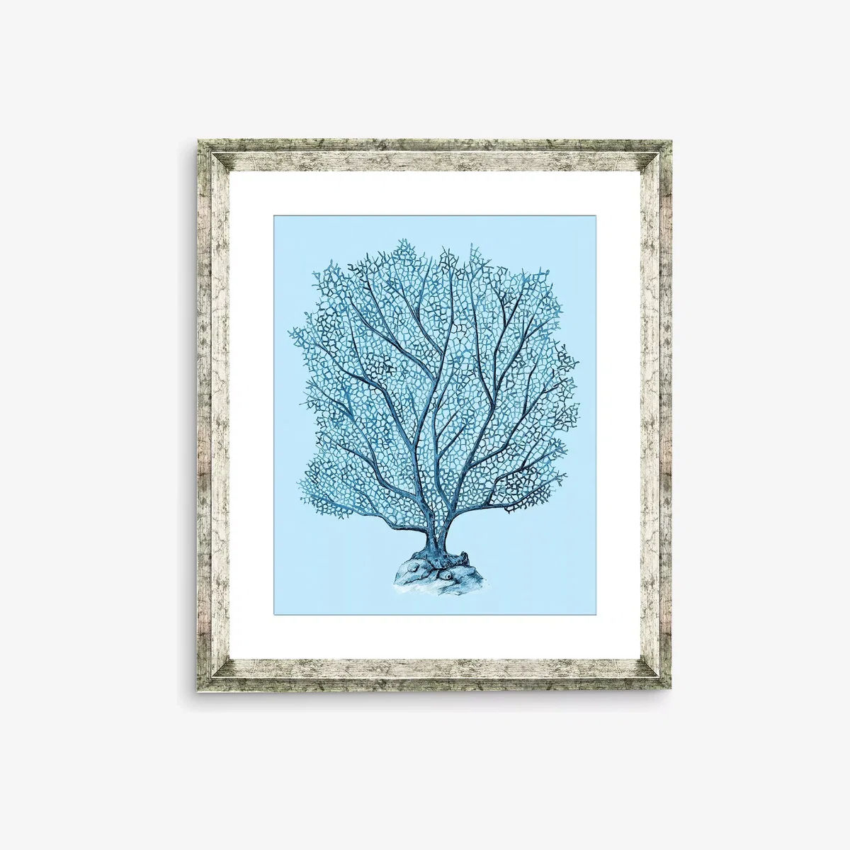 Blue Coral 5 - Framed Print & Mount, 46 x 36cm, Blue – image 1
