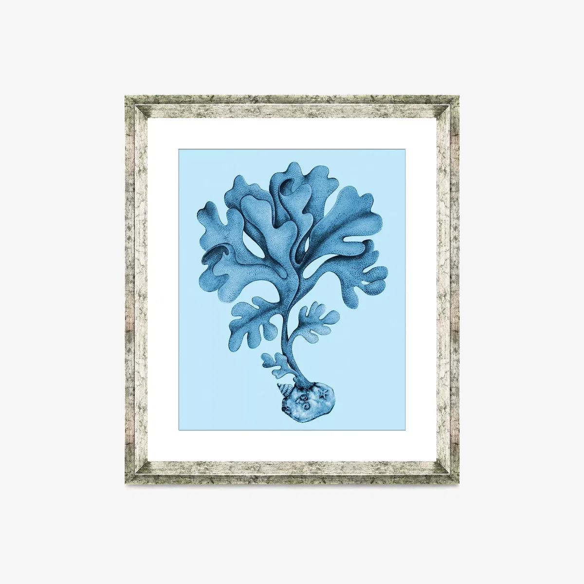 Blue Coral 7 - Framed Print & Mount, 46 x 36cm, Blue – image 1