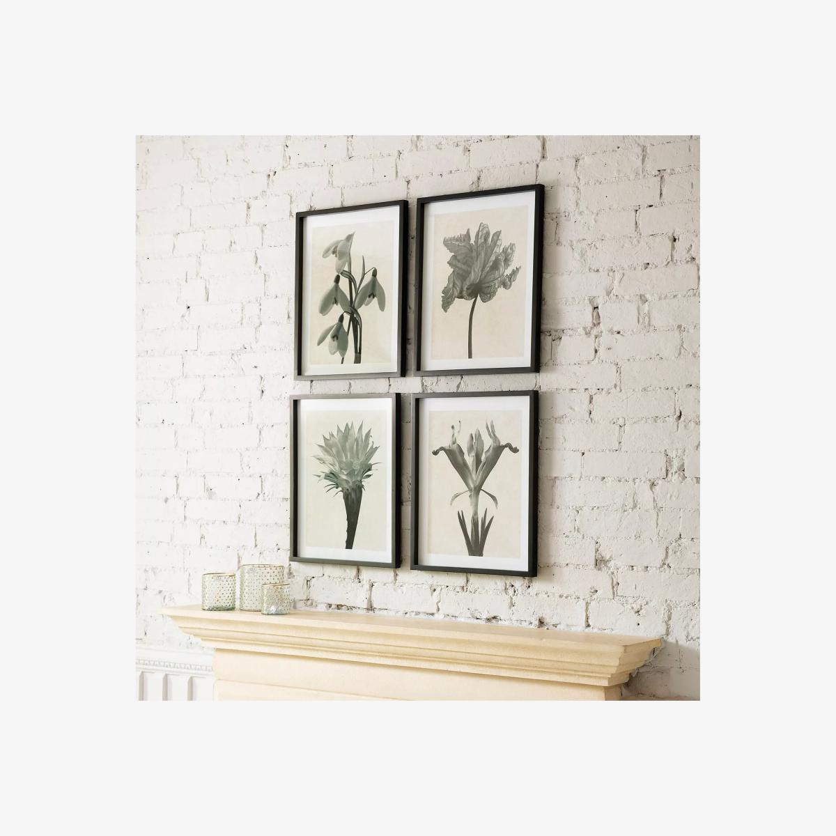 One.World Brookby Monochrome Floral III Wood Framed Print, Set of 4, 50 x 40cm, Black/White