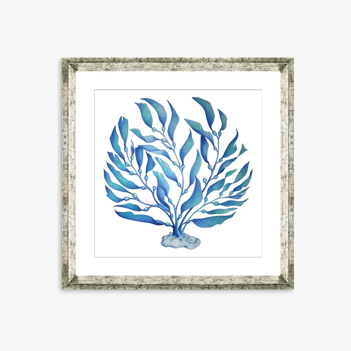 Blue Seaweed 2 - Framed Print & Mount, 46 x 46cm, Blue – image 1