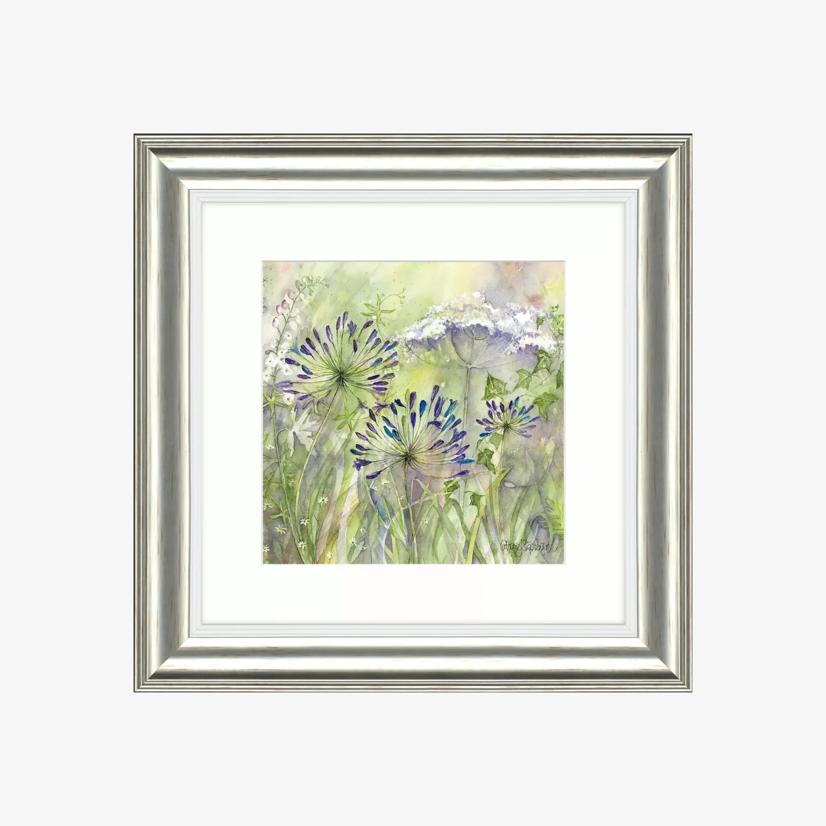 Catherine Stephenson - Agapanthus Grasses 2 Framed Print, 50 x 50cm – image 1