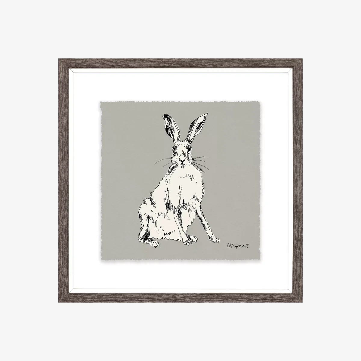 Gracie Tapner - Sitting Hare Framed Print & Mount, 23.5 x 23.5cm – image 1