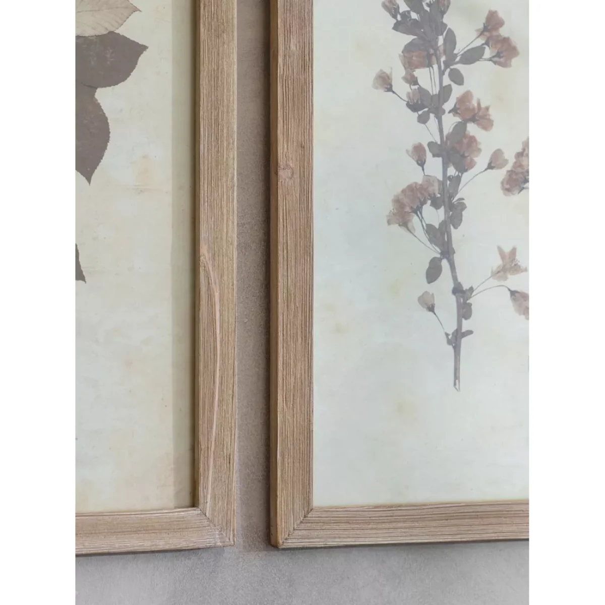 One.World Leaf Wood Framed Print, Set of 2, 53.8 x 42cm, Brown/Multi – image 2