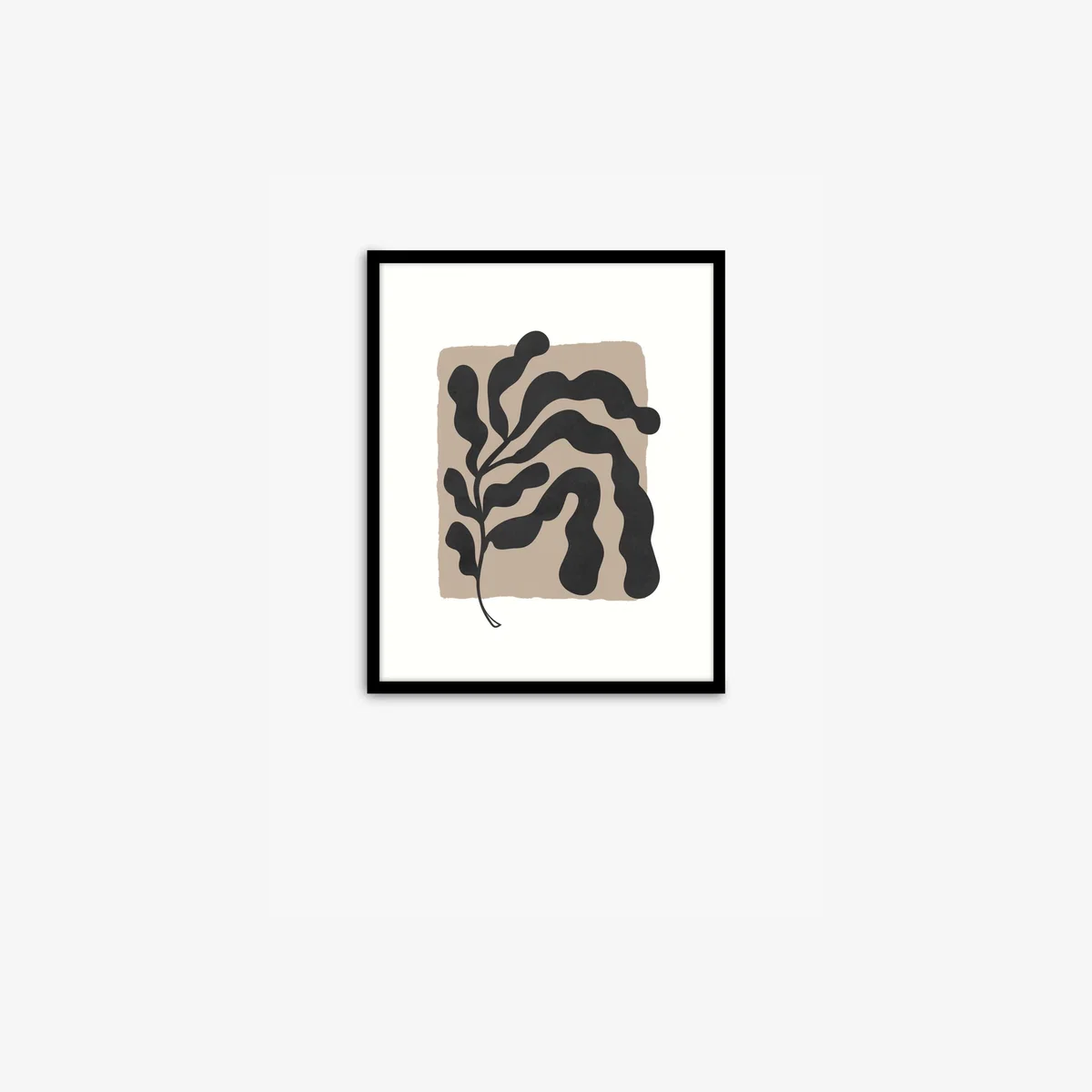 John Lewis ANYDAY 'Natural Study' Framed Print, 52 x 42cm, Black – image 1
