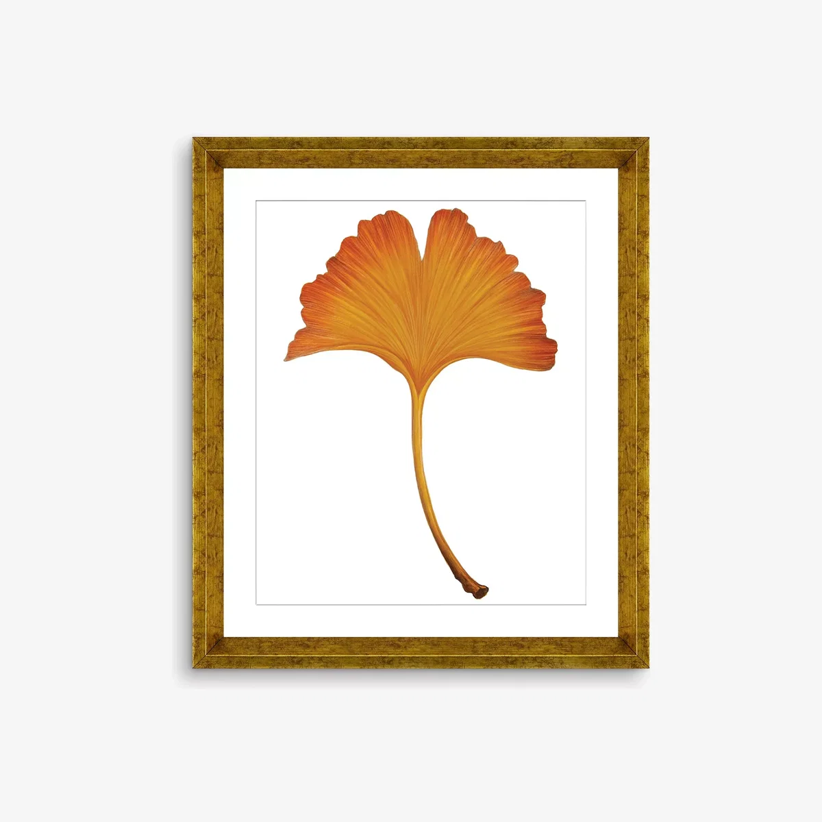 Ginkgo Leaf 4 - Framed Print & Mount, 56 x 46cm, Orange – image 1