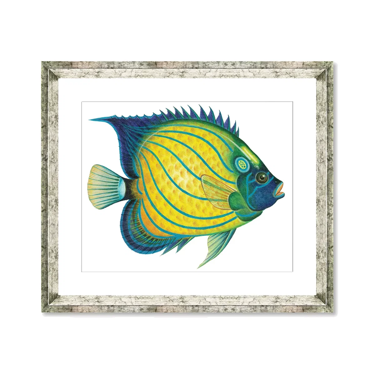 Tropical Fish 4 - Framed Print & Mount, 36 x 46cm, Yellow/Blue – image 1
