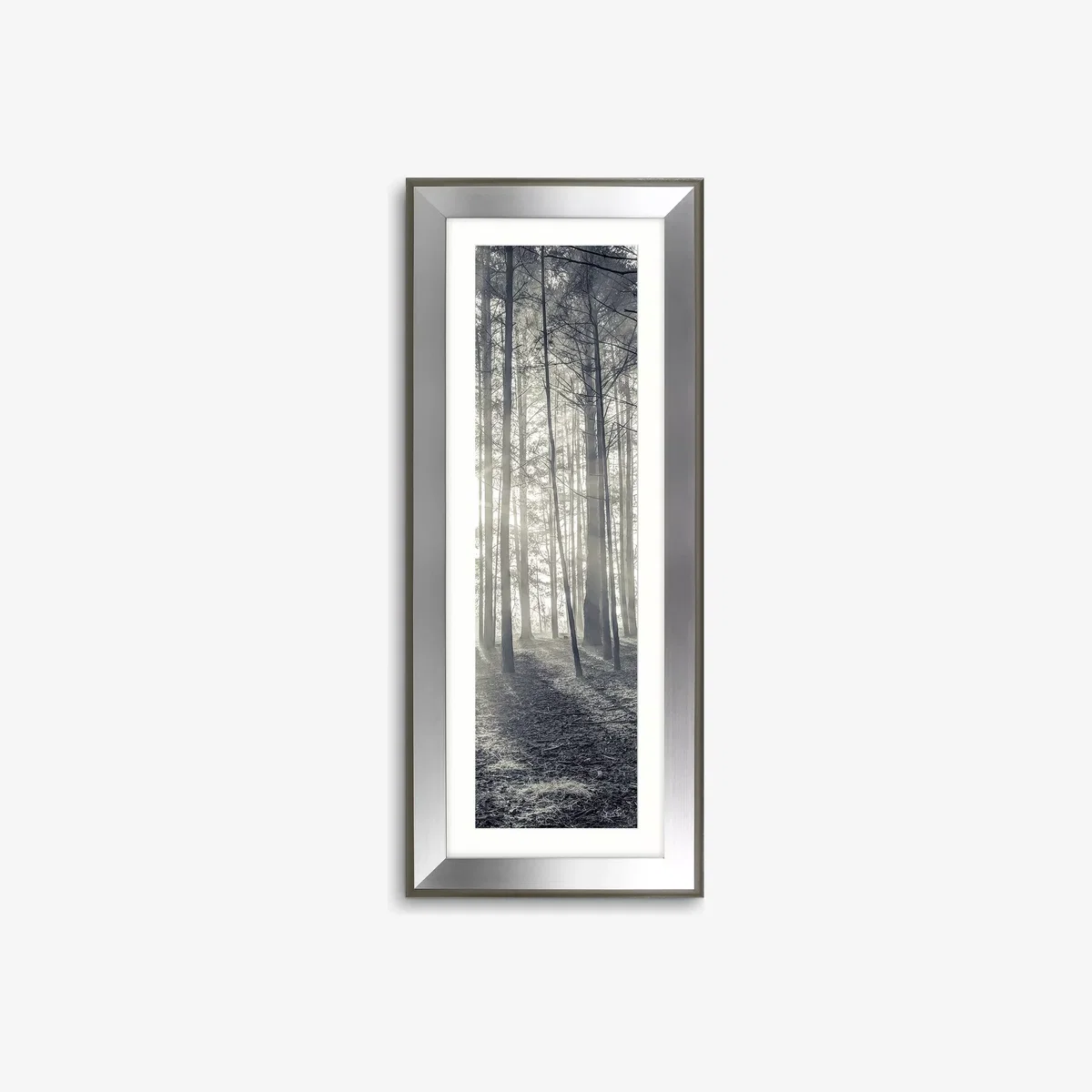 Assaf Frank - Through The Trees II Framed Print & Mount, 100 x 40cm – image 1