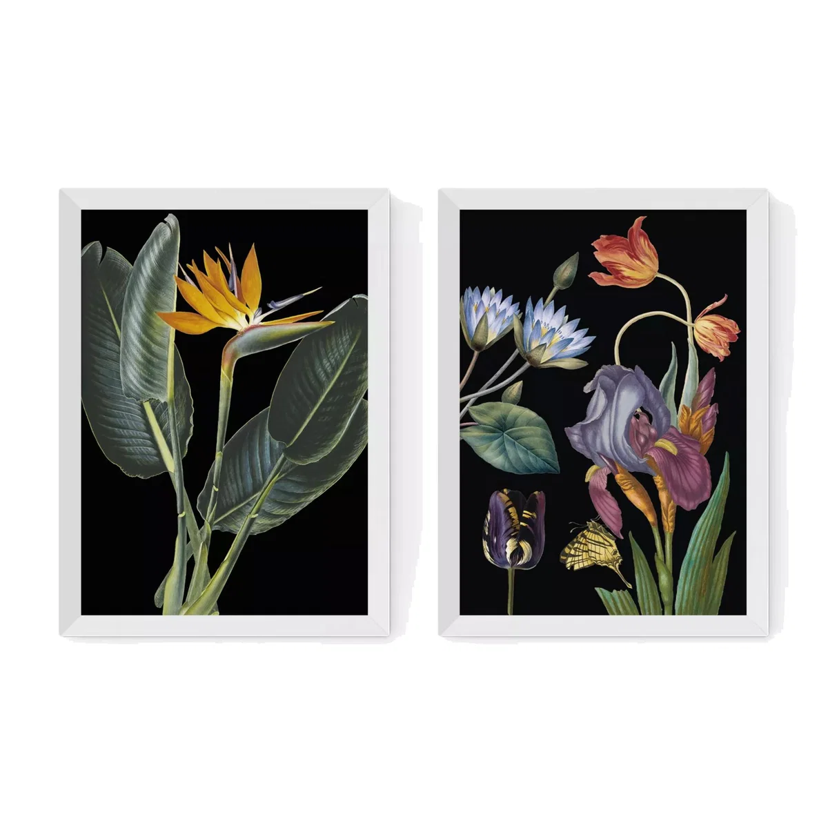 EAST END PRINTS Natural History Museum 'Dark Floral' Framed Print, Set of 2