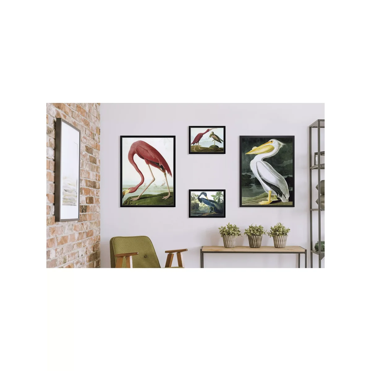John James Audubon - 'Tropical Bird II' Framed Print, 56 x 46cm, Blue – image 4