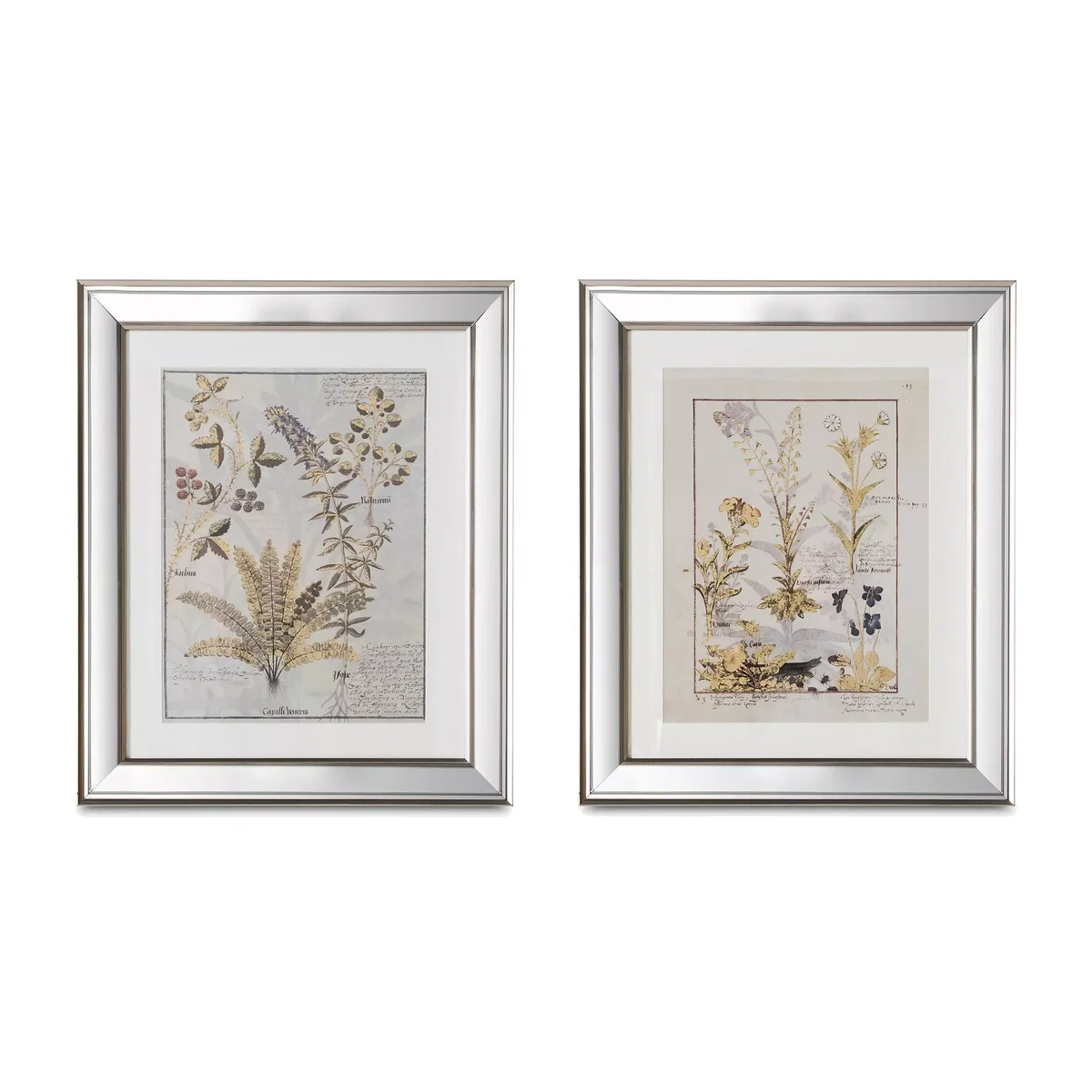 Botanical Floral 2 - Framed Print & Mount, Set of 2, 57.5 x 57.5cm, Green/Multi – image 1