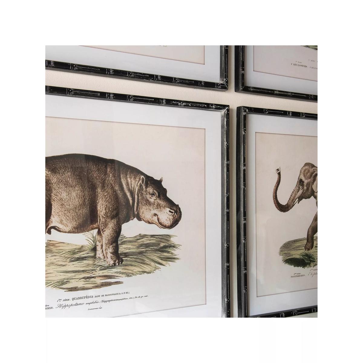 One.World Brookby Animal Wood Framed Wall Art, Set of 4, 60 x 80cm, Black – image 2