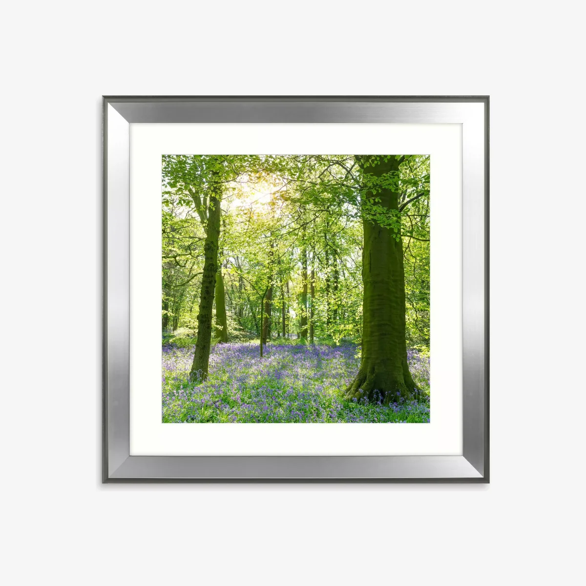 Mike Shepherd - 'Sunlight Through Bluebell Woods' Framed Print & Mount, 80.5 x 80.5cm, Green – image 1