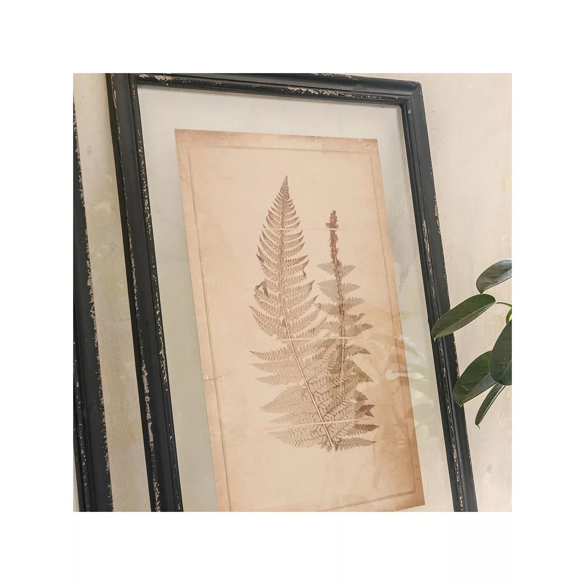 One.World Fern Wood Framed Print, Set of 2, 58 x 40cm, Black – image 4