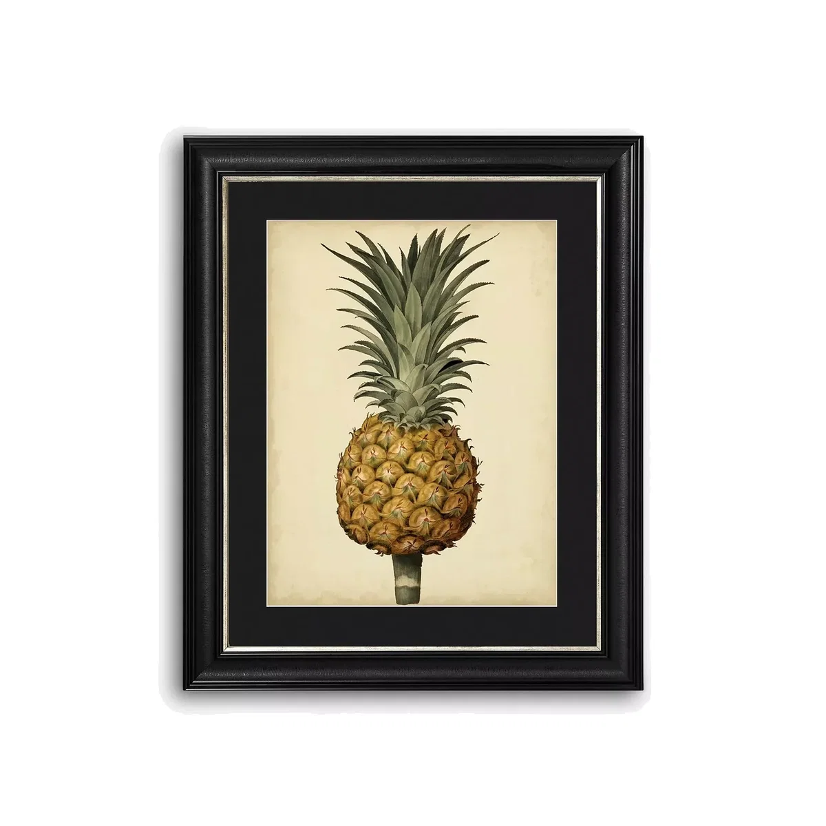 George Brookshaw - Antique Pineapple II Framed Print & Mount, 60 x 50cm, Black/Multi