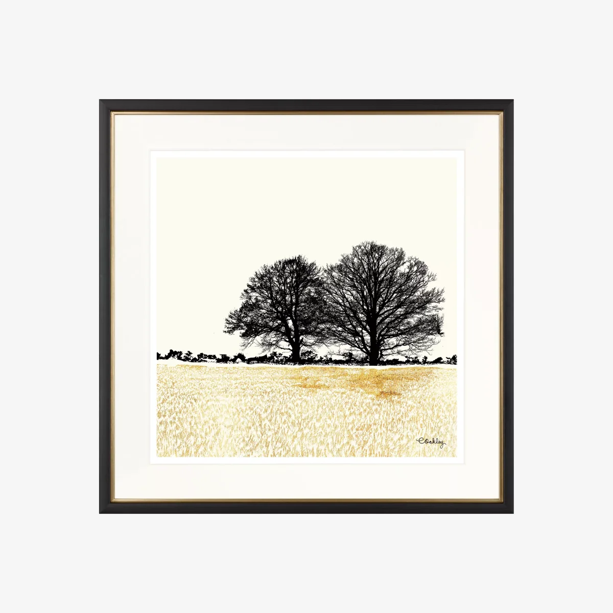 Charlotte Oakley - Tree Pair In Golden Field Framed Print & Mount, 36 x 36cm, Gold