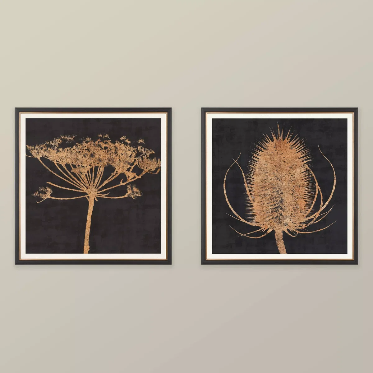Charlotte Oakley - Copper Allium Framed Print & Mount, 36 x 36cm, Dark Grey/Metallic – image 2