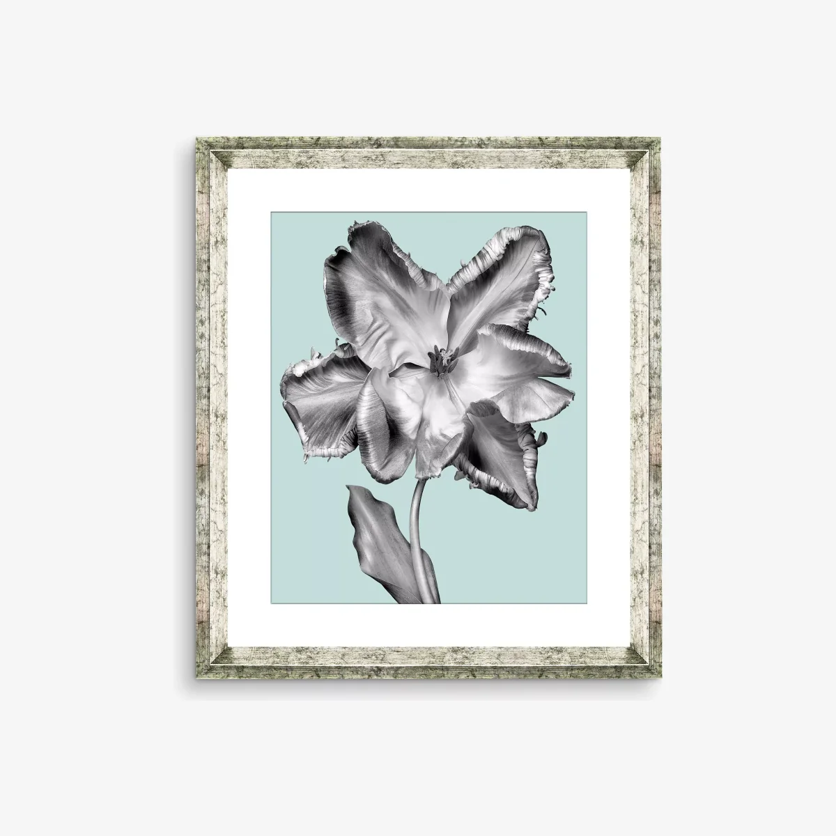 Tulip on Blue 3 - Framed Print & Mount, 46 x 36cm, Blue – image 1