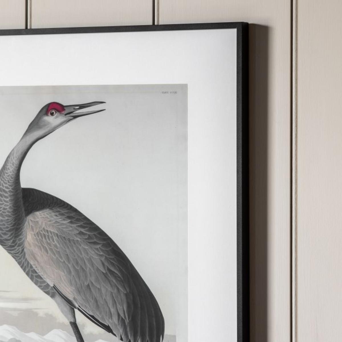 Exotic Fowl Study Framed Art Set of 2 – image 3