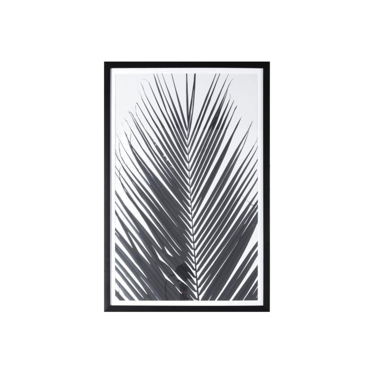 Monochrome 91cm x 61cm Palm Framed Art