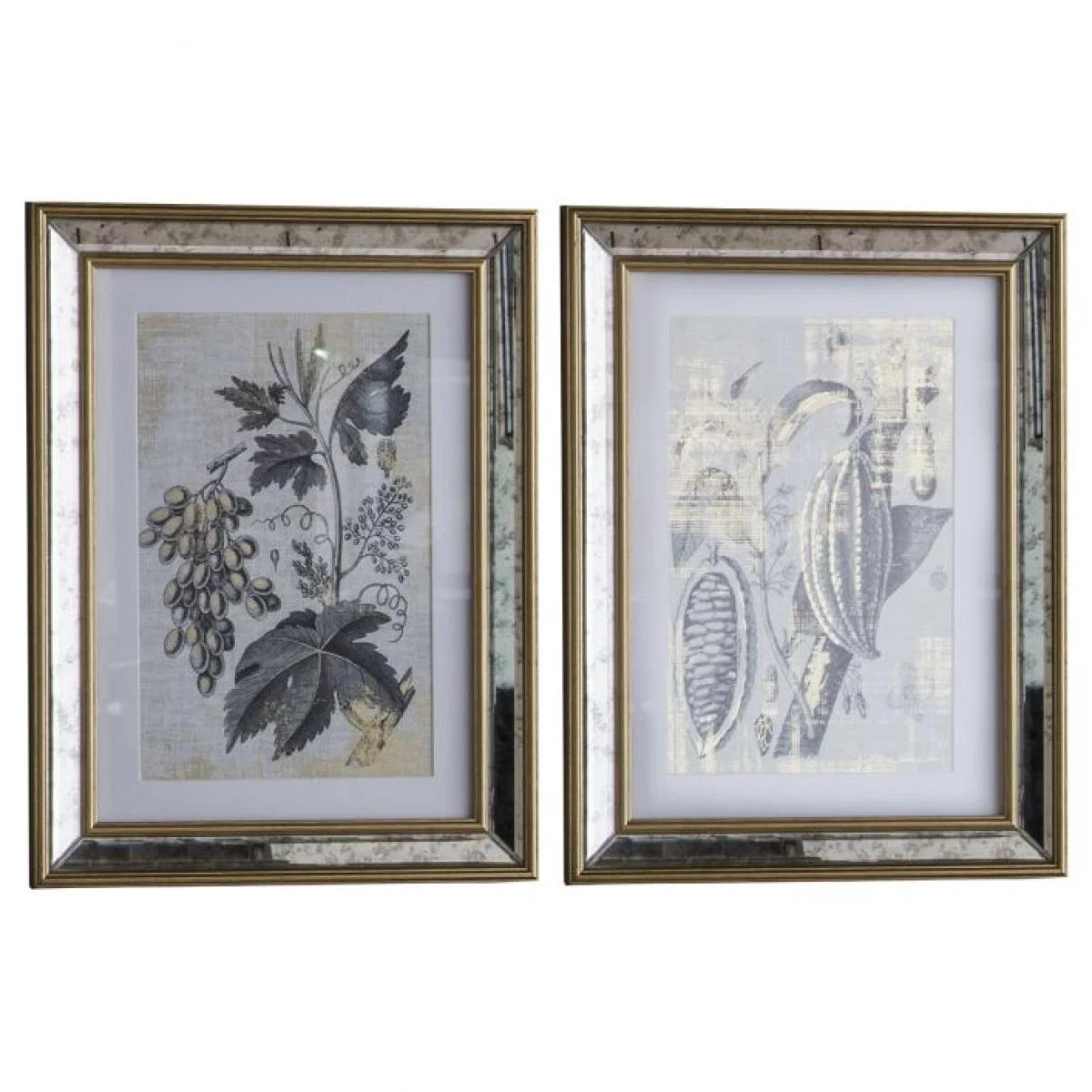 Braun Botanical Studies Set of 2 – image 2