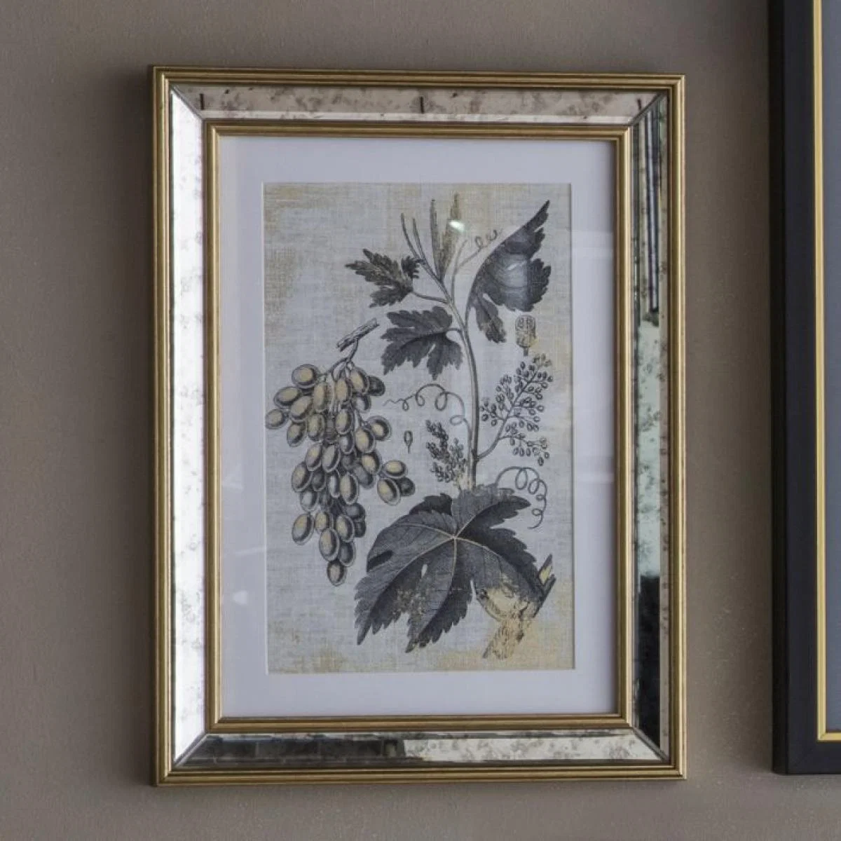 Braun Botanical Studies Set of 2 – image 3
