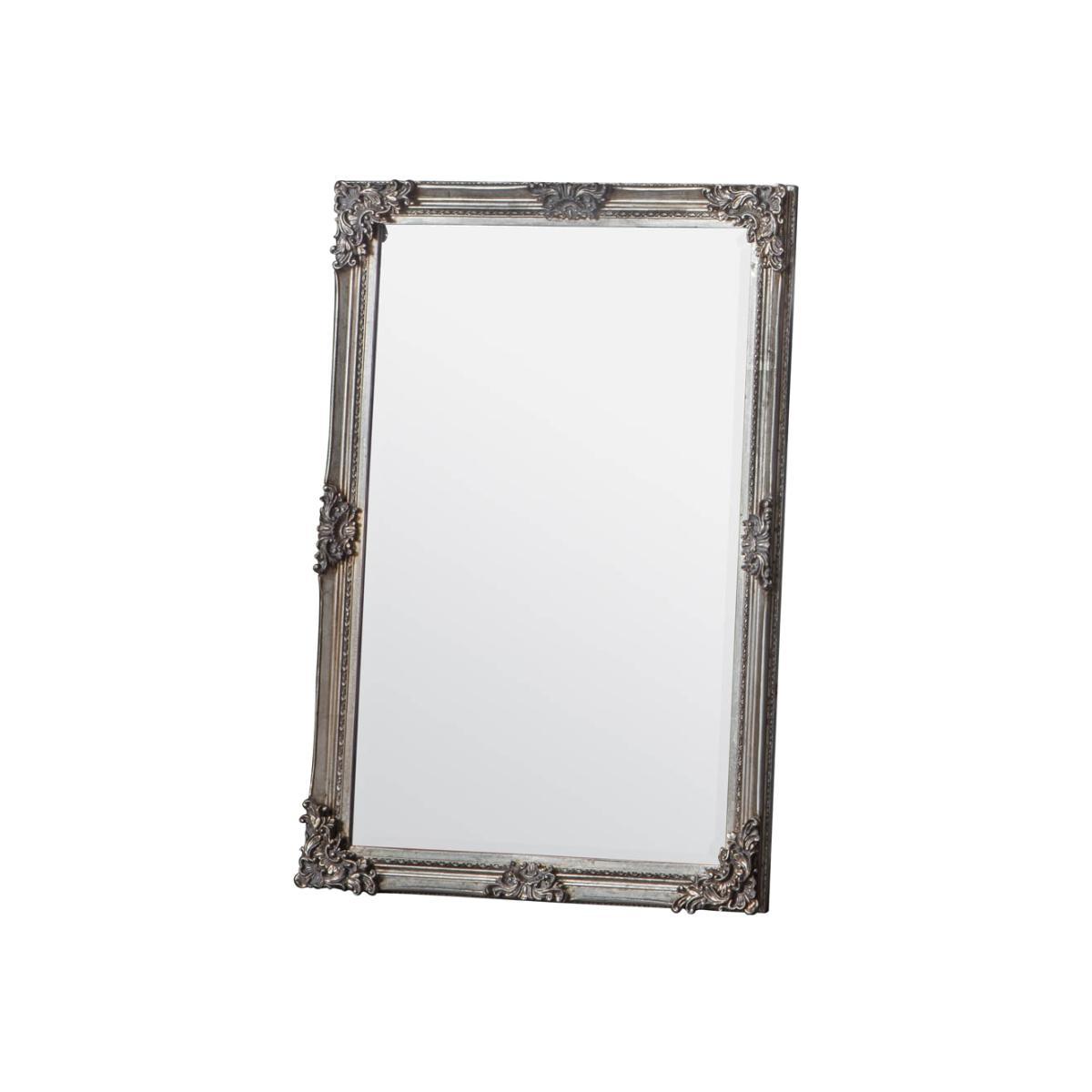 Halewood Large Rectangle Wall Mirror - Champagne