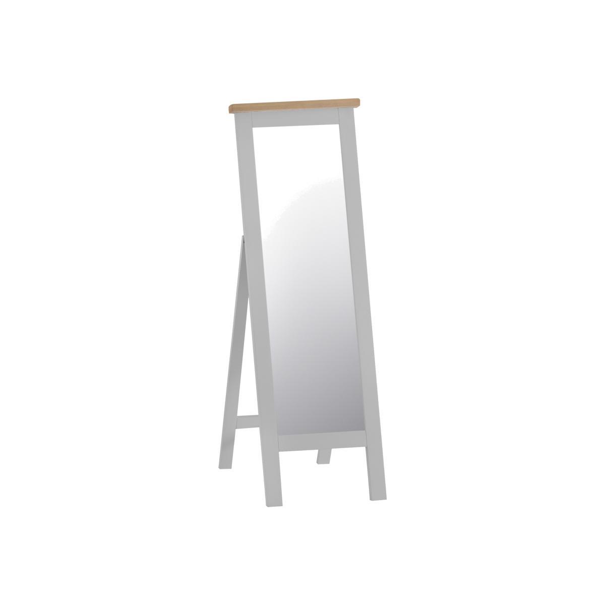 Terranostra Large Rectangle Cheval Mirror - Grey