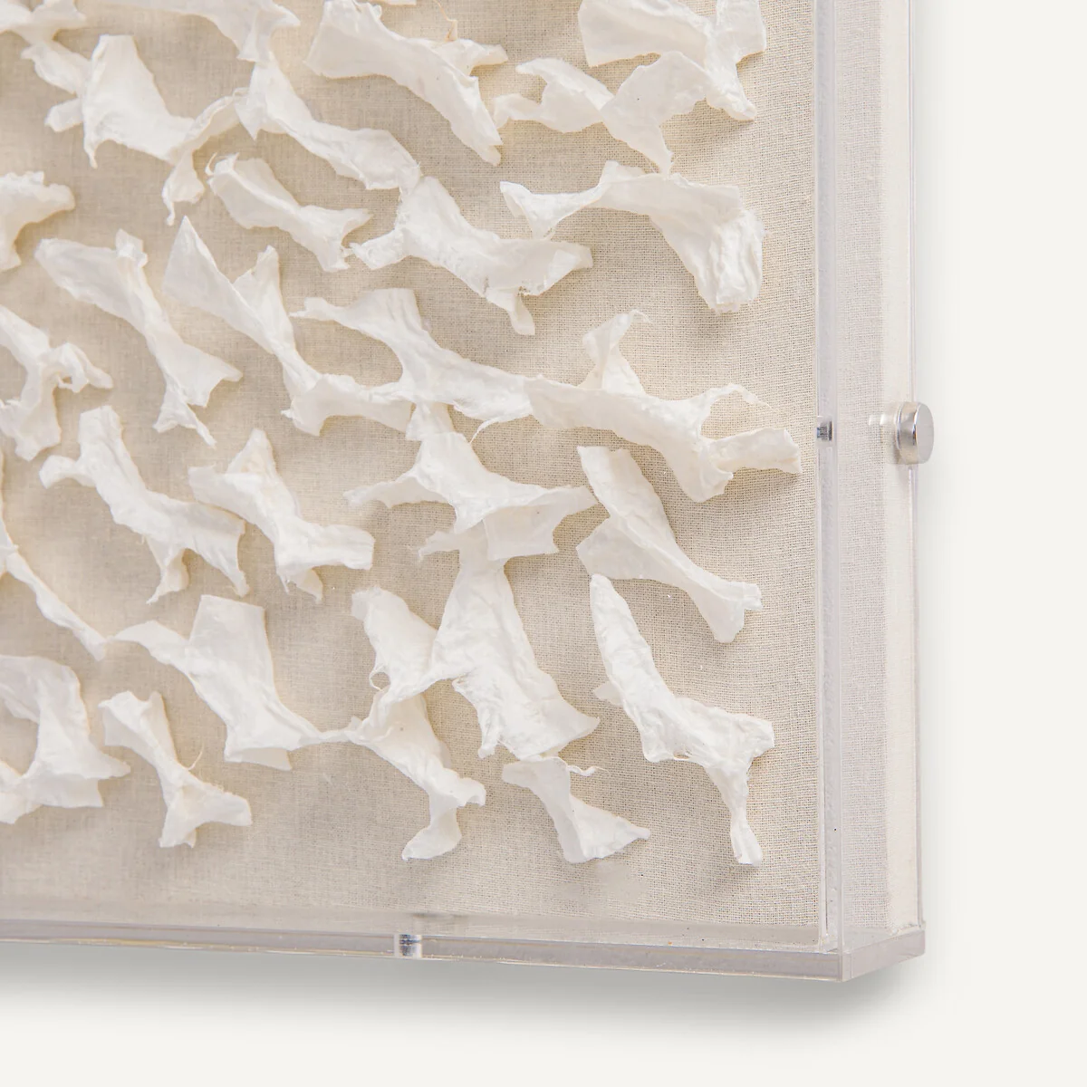 Sudjo Papier Mâché Wall Art Under Plexiglass – image 3