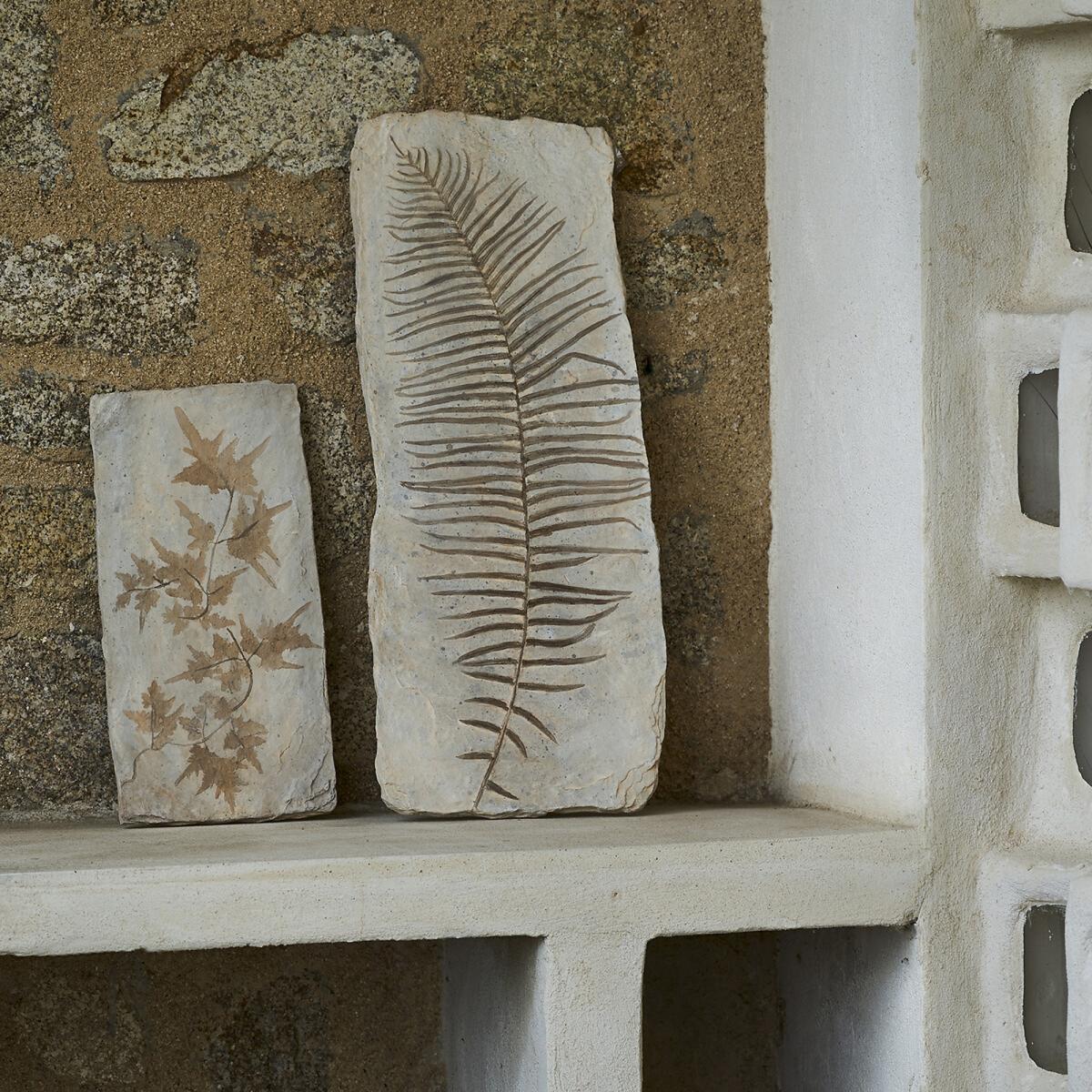 Fossilis Polyresin Wall Art, H50.5cm – image 3