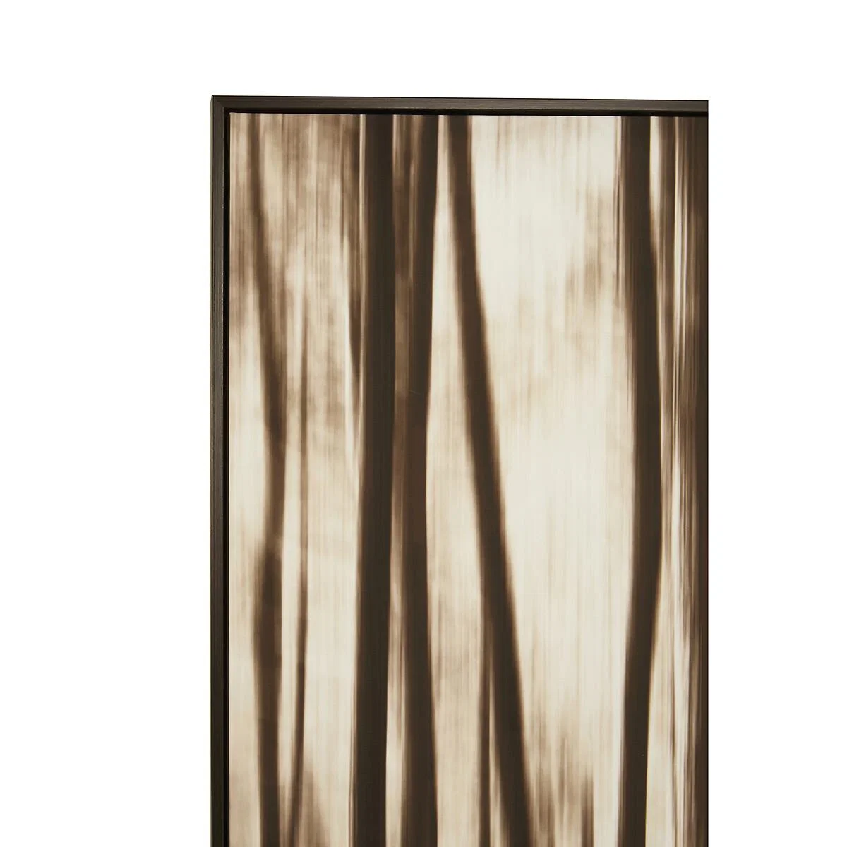Black and Natural Classic Framed Wall Art – image 2