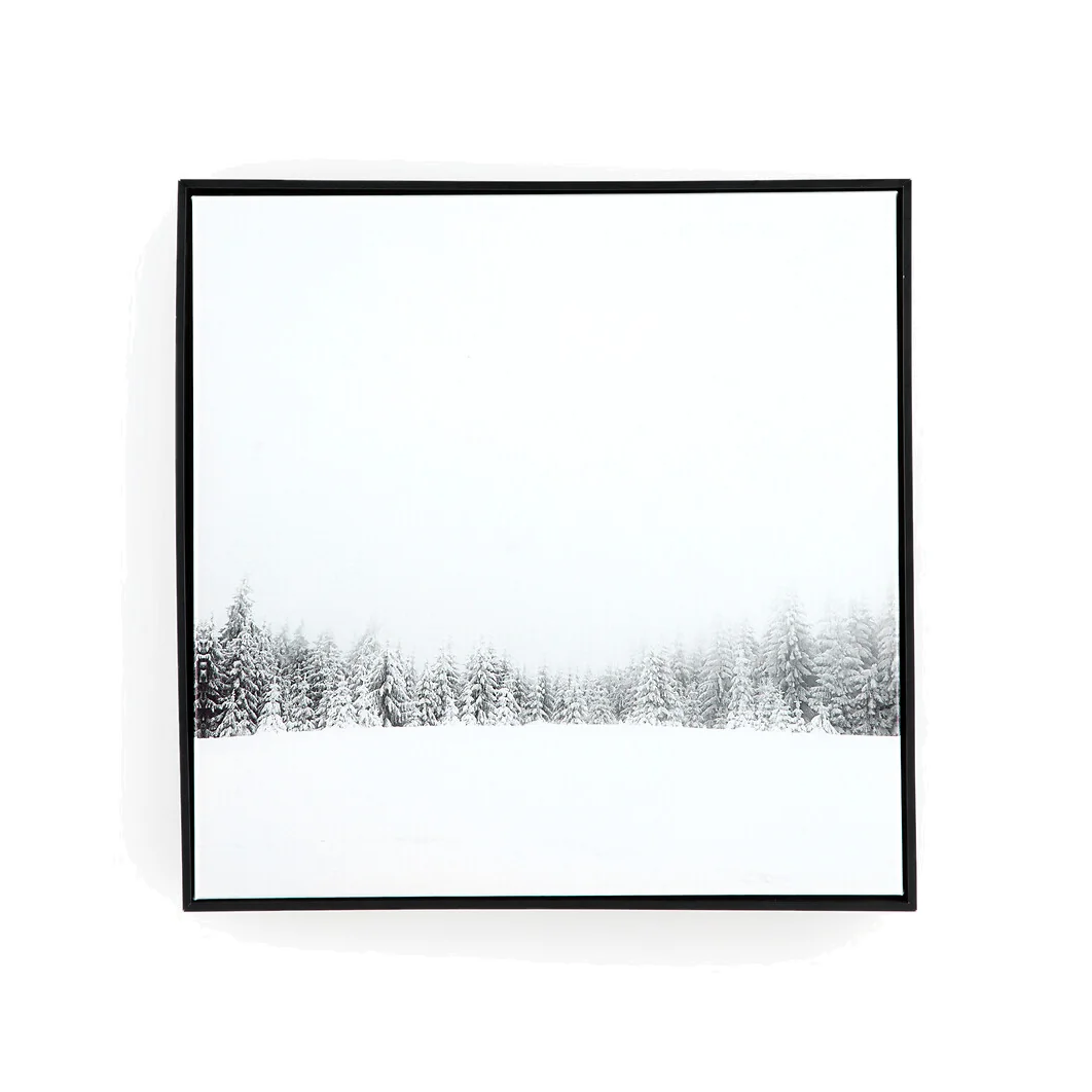 Novita 50 x 50cm Framed Canvas