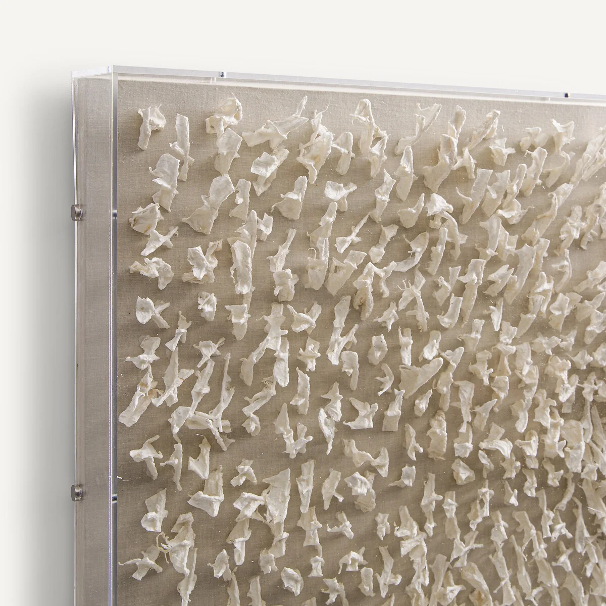 Sudjo Papier Mâché Wall Art Under Plexiglass – image 4