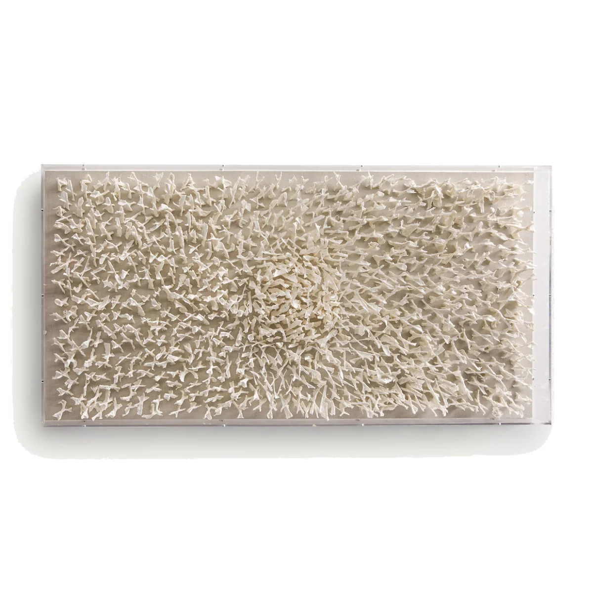 Sudjo Papier Mâché Wall Art Under Plexiglass – image 1