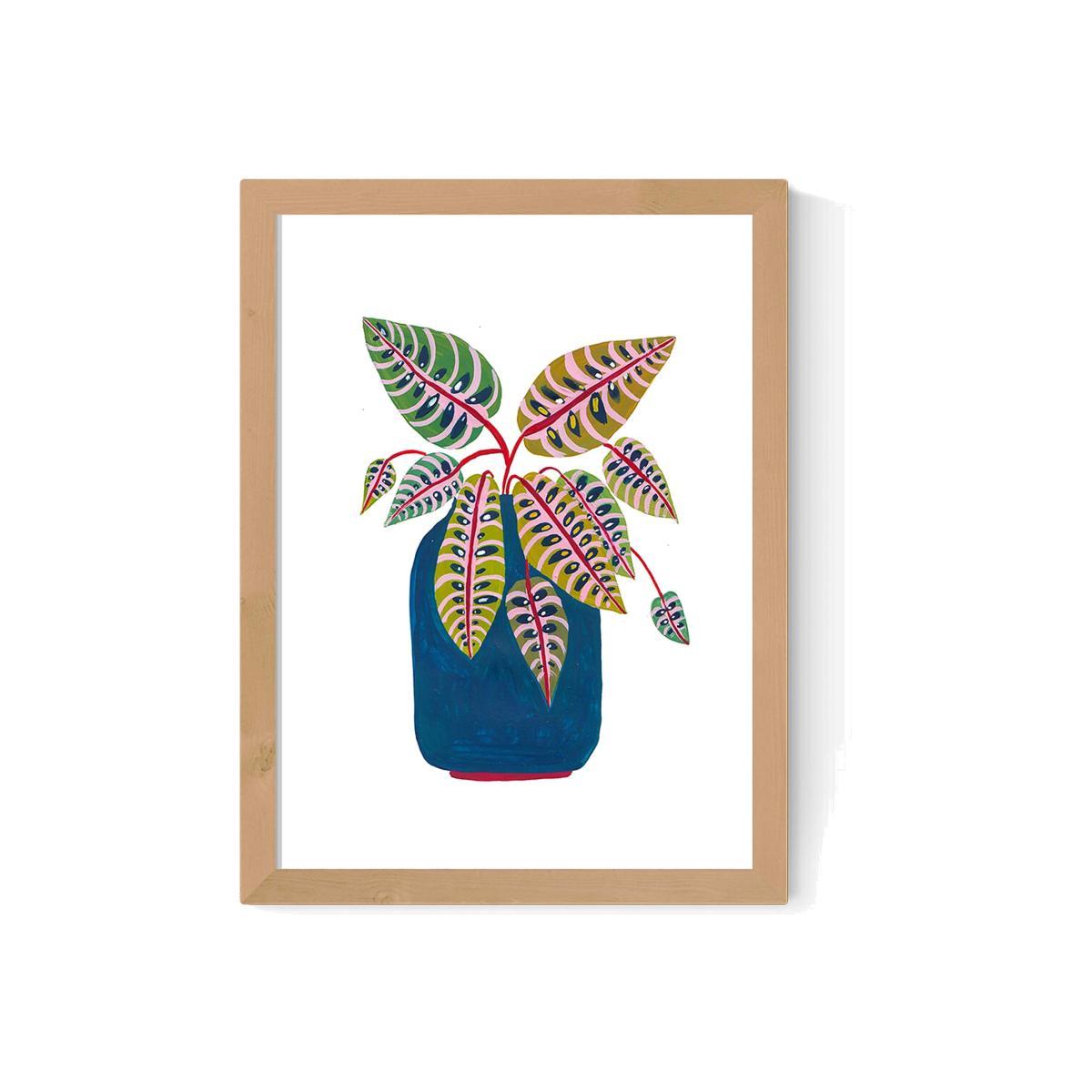 A2 Framed Prayer Plant Print – image 1