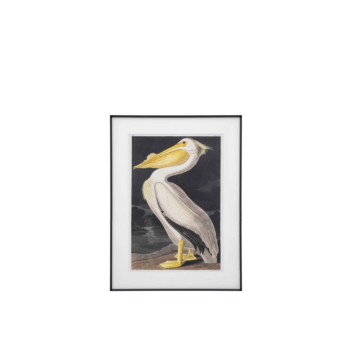 Gallery Direct Pellicano Framed Wall All White/Black – image 2