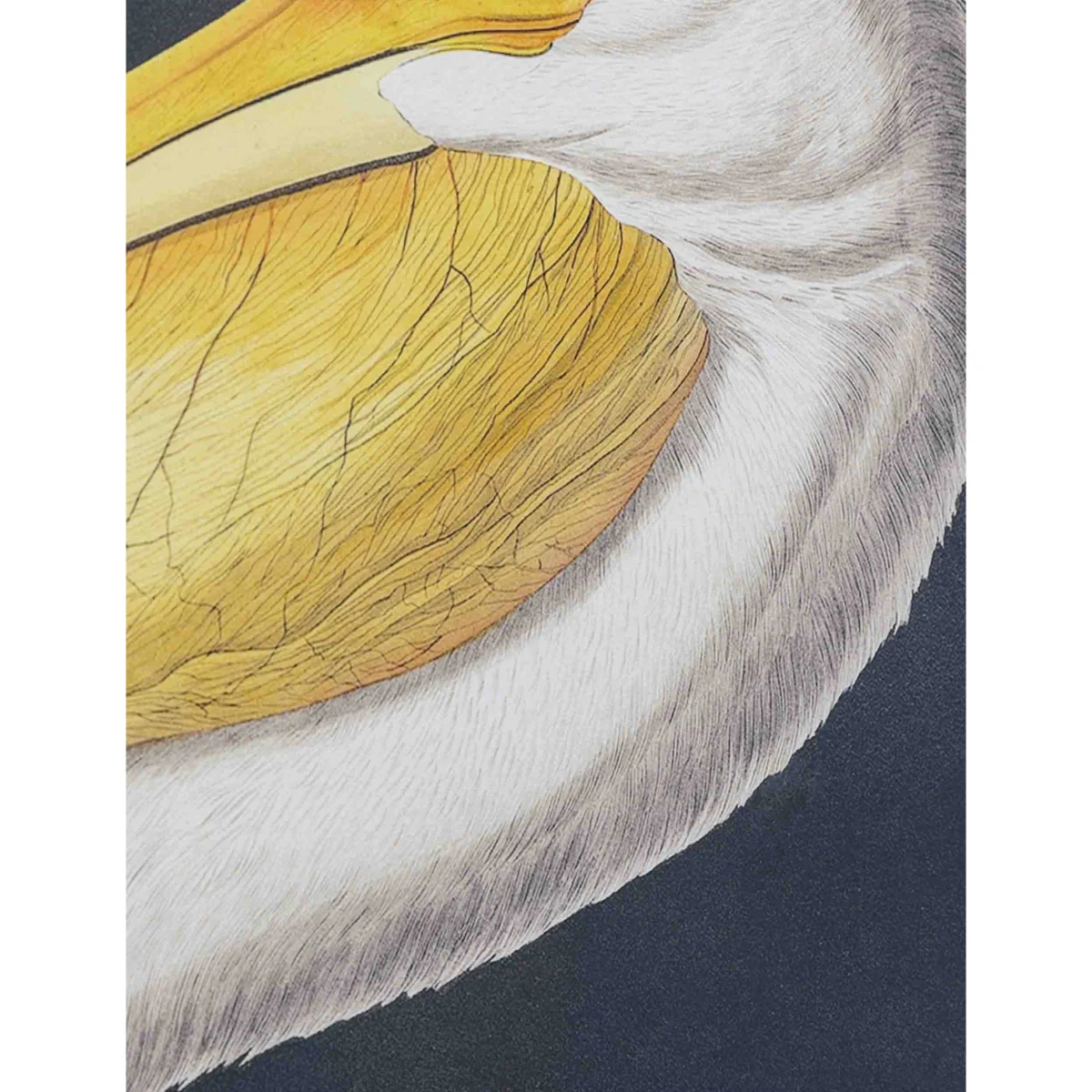 Gallery Direct Pellicano Framed Wall All White/Black – image 5