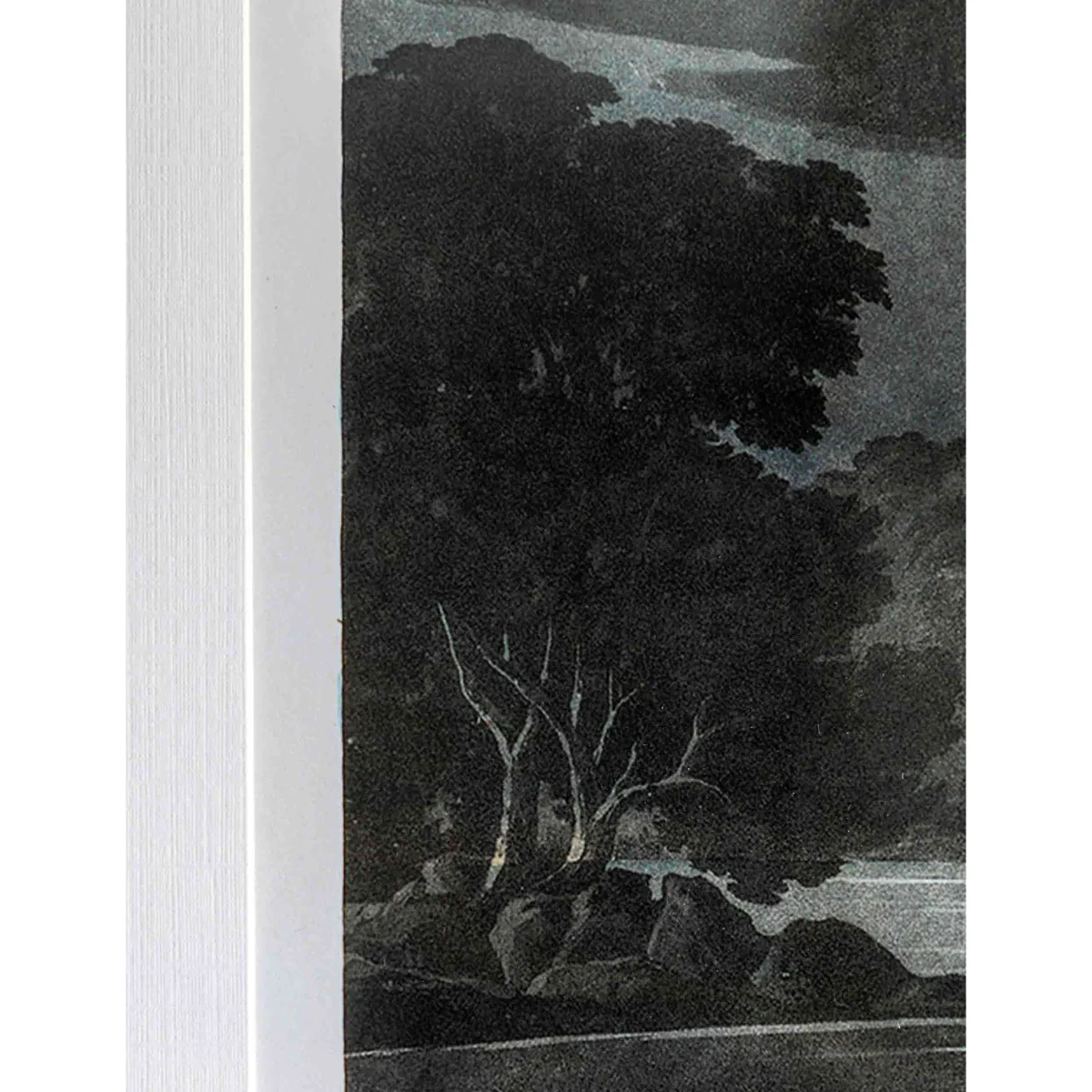 Gallery Direct Pellicano Framed Wall All White/Black – image 7