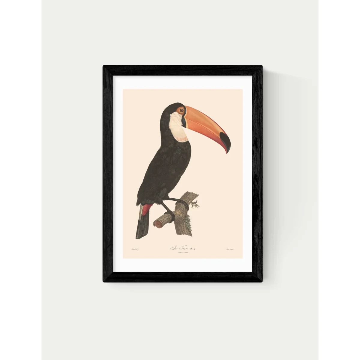 East End Prints Toucan by Aster Framed Art White – image 2