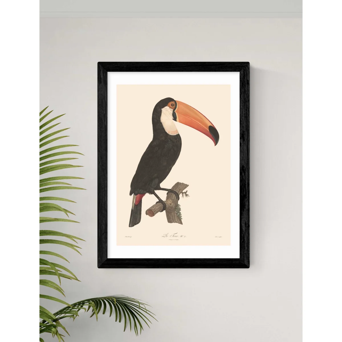 East End Prints Toucan by Aster Framed Art White – image 3