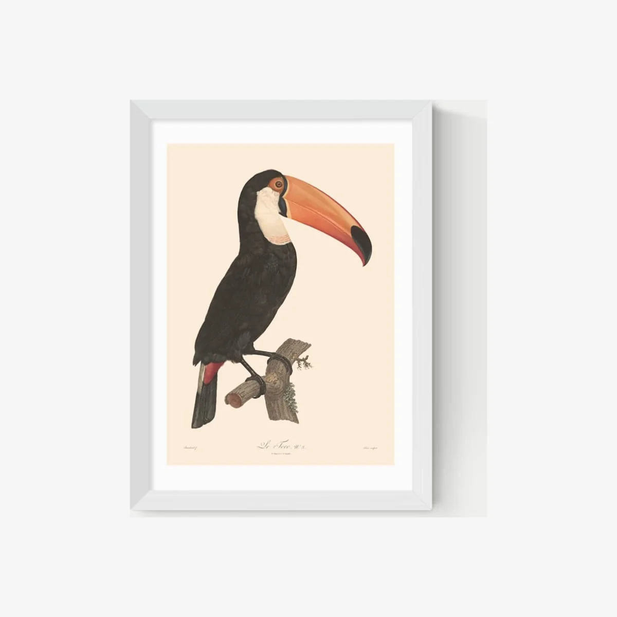 East End Prints Toucan by Aster Framed Art White – image 1