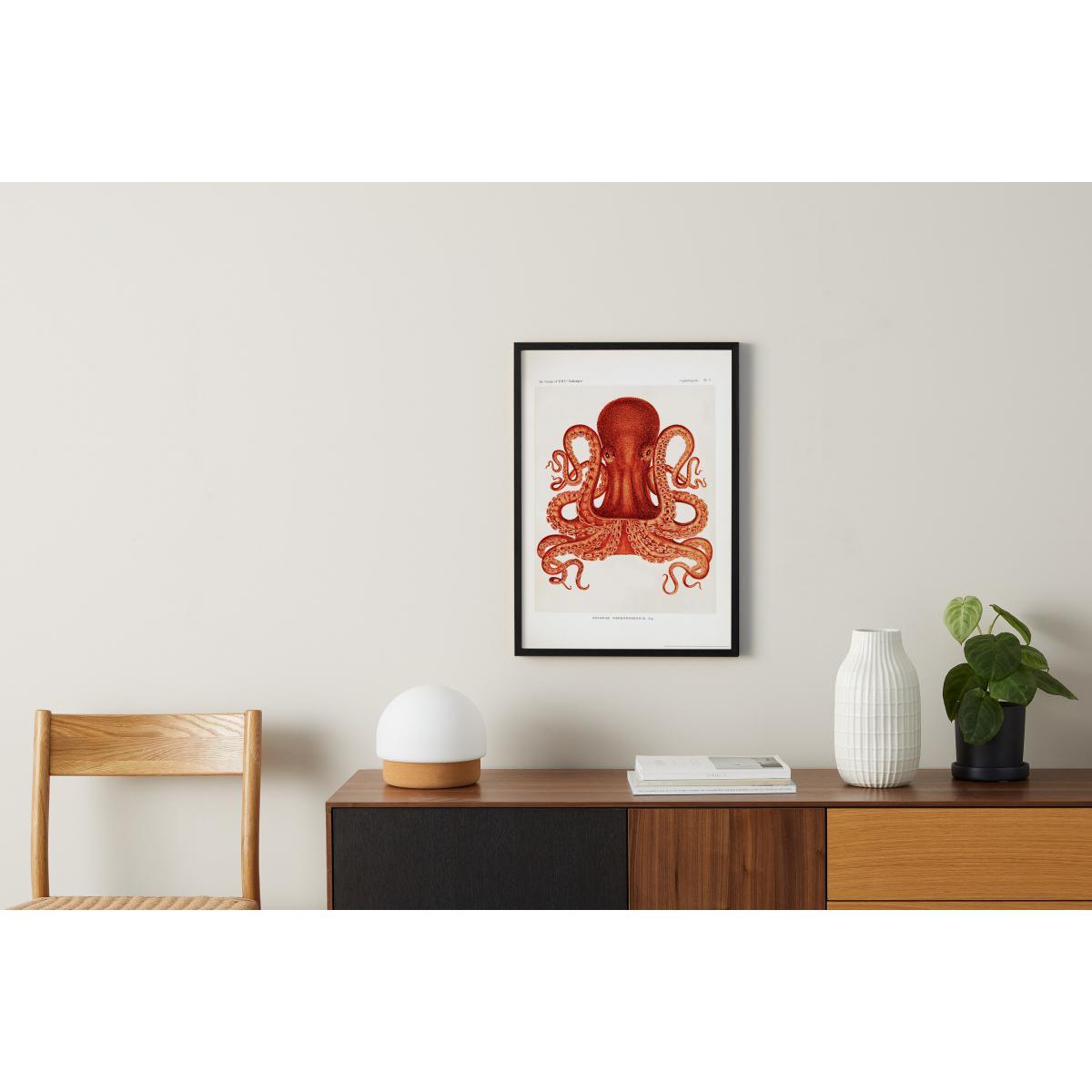 Natural History Museum Vintage Octopus Framed Print, A2 – image 3