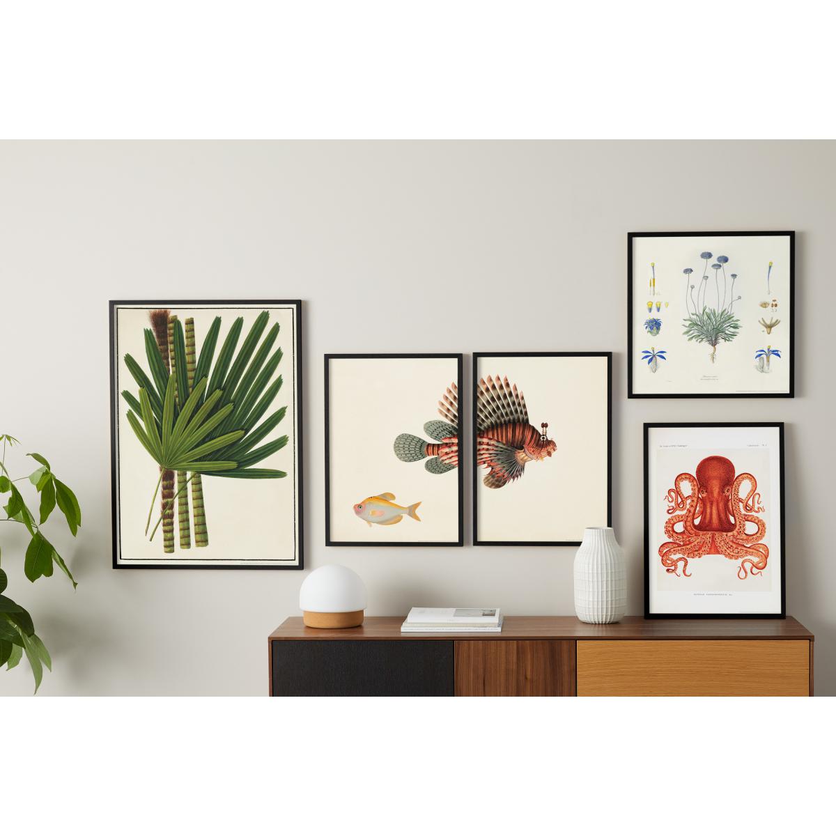 Natural History Museum Vintage Octopus Framed Print, A2 – image 6