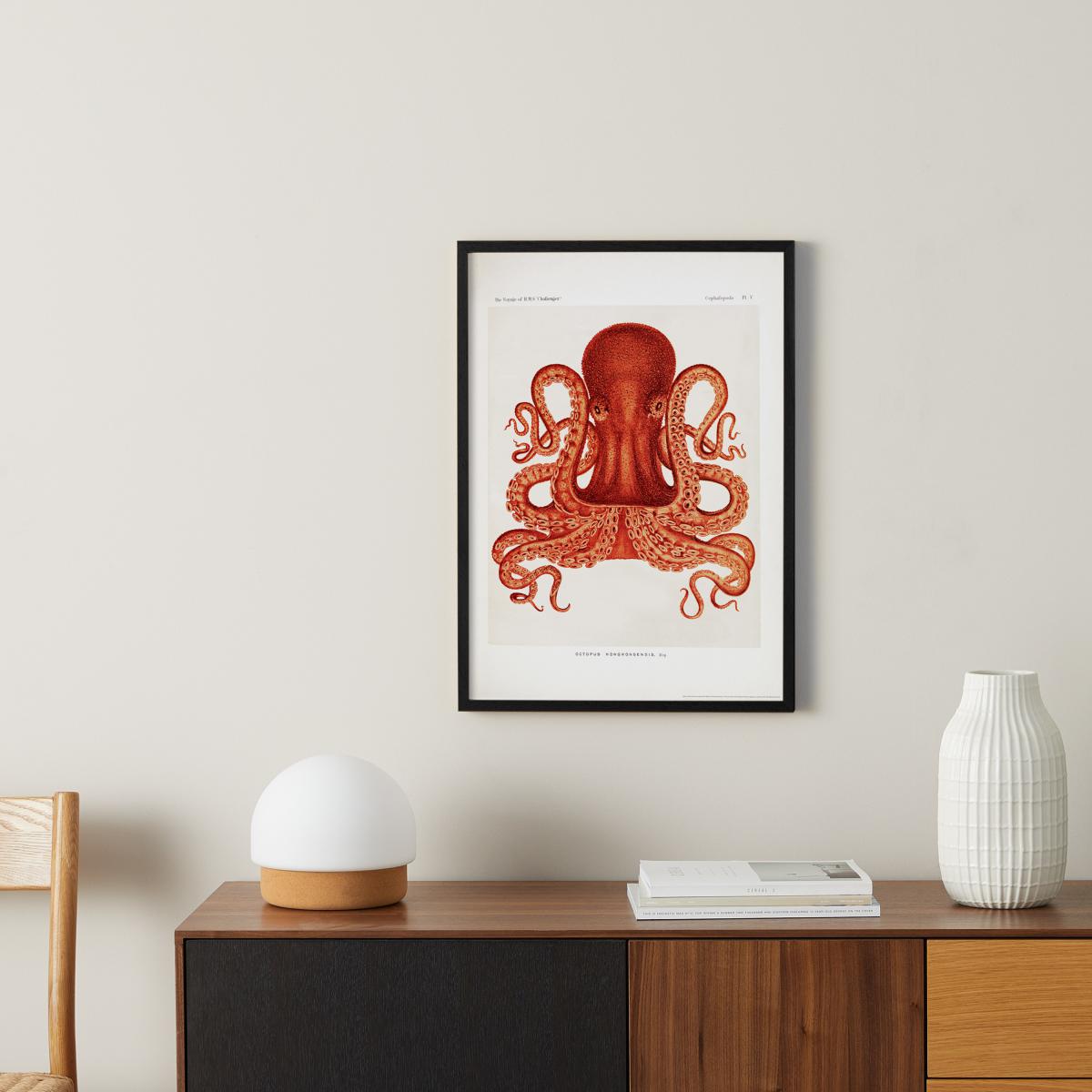 Natural History Museum Vintage Octopus Framed Print, A2 – image 9