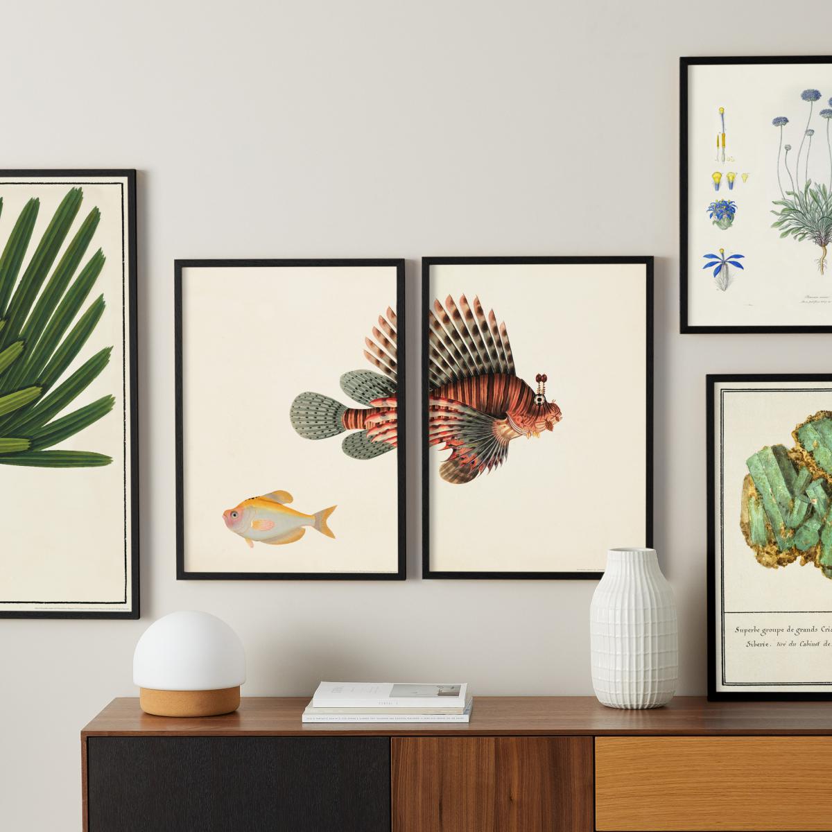 Natural History Museum Vintage Fish Set of 2 Framed Prints, A3 – image 11