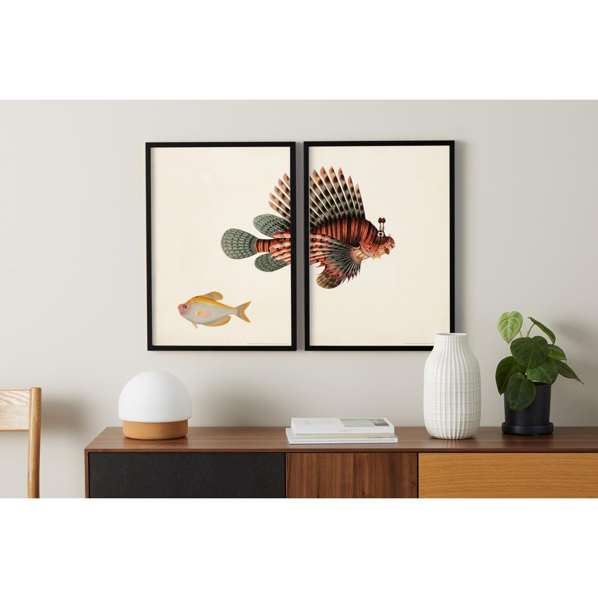 Natural History Museum Vintage Fish Set of 2 Framed Prints, A3 – image 3