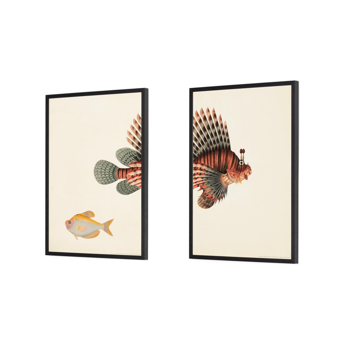 Natural History Museum Vintage Fish Set of 2 Framed Prints, A3 – image 4
