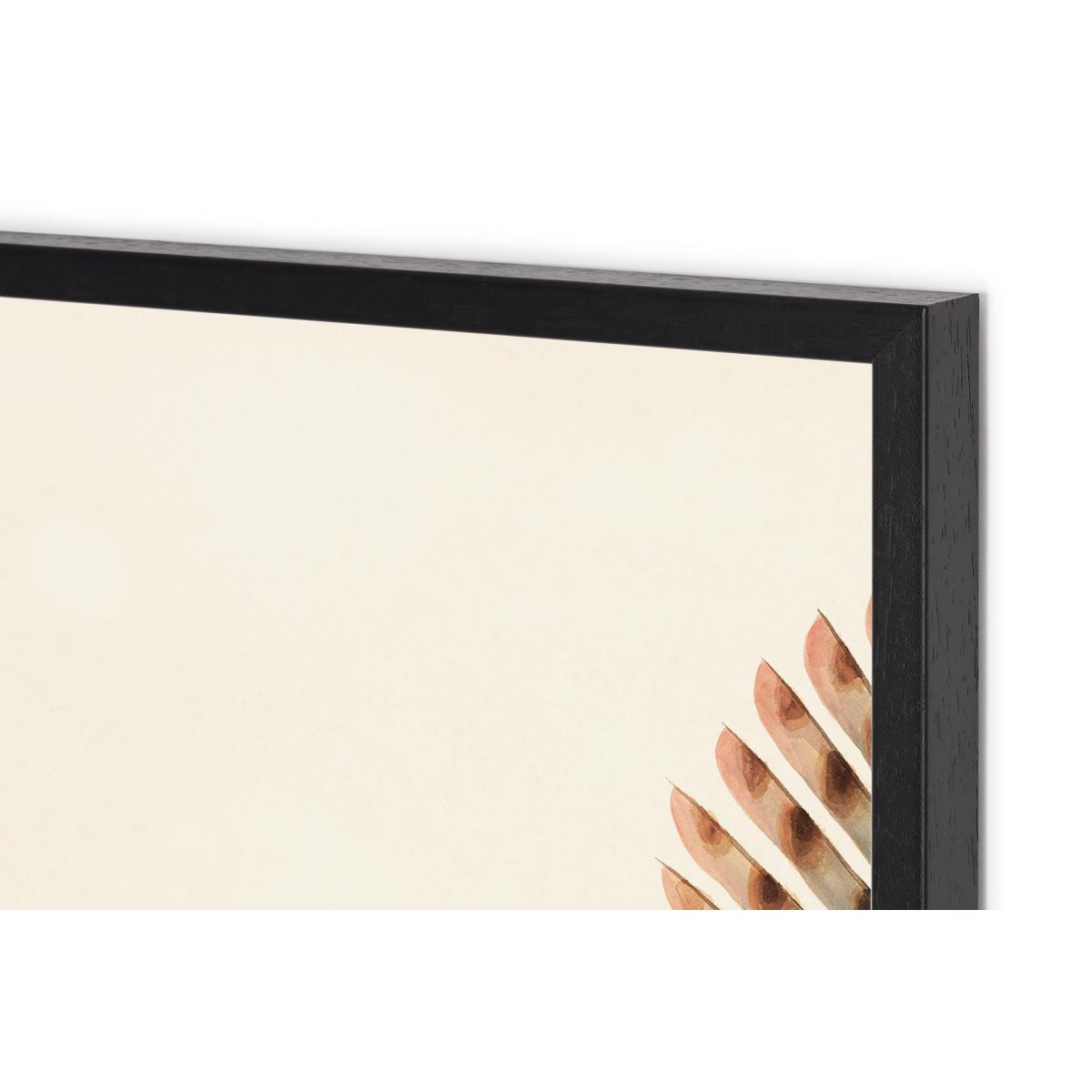 Natural History Museum Vintage Fish Set of 2 Framed Prints, A3 – image 5