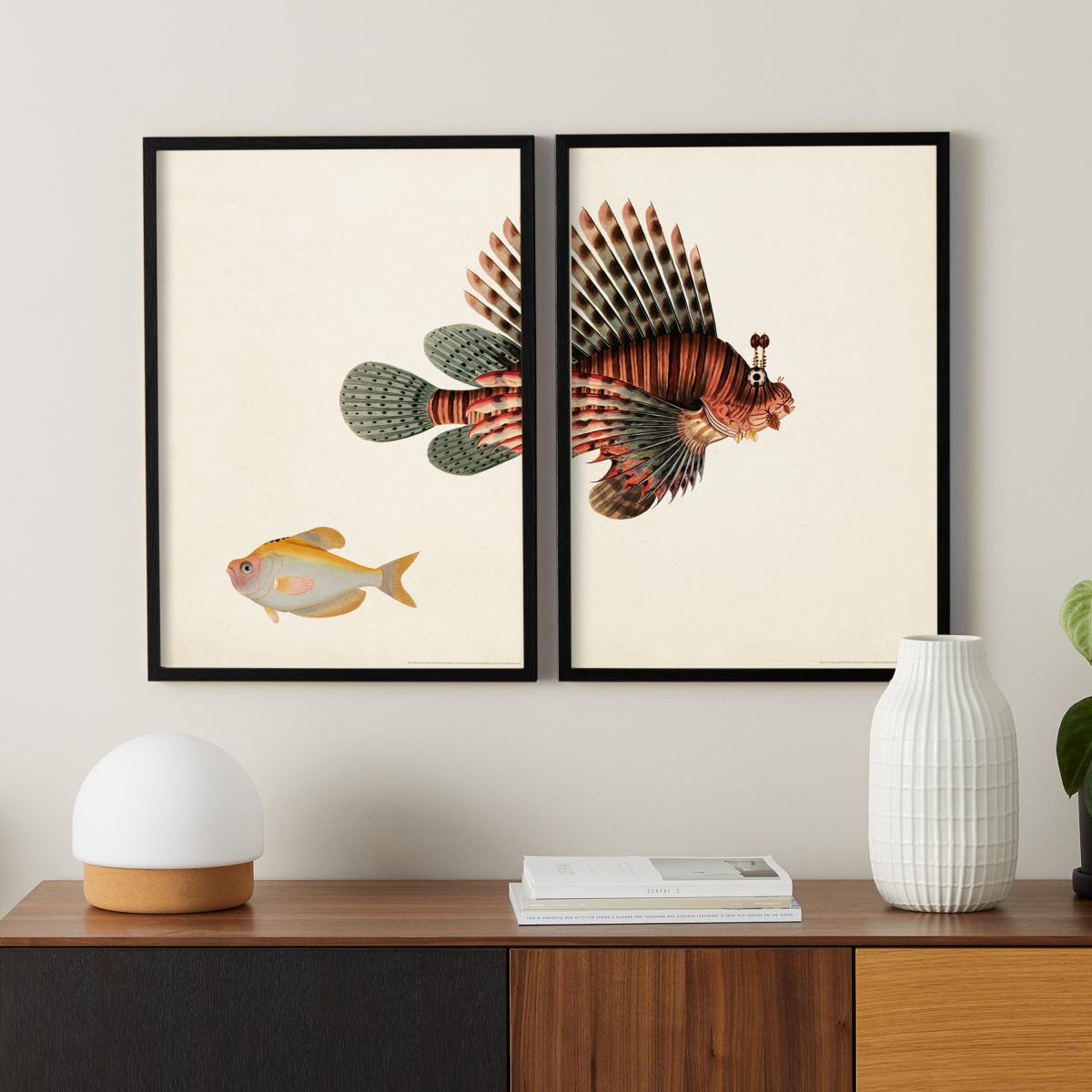 Natural History Museum Vintage Fish Set of 2 Framed Prints, A3 – image 8